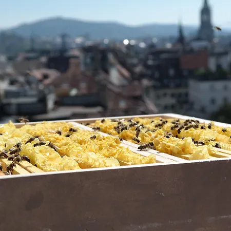 Schweizerhof & 5* Bern