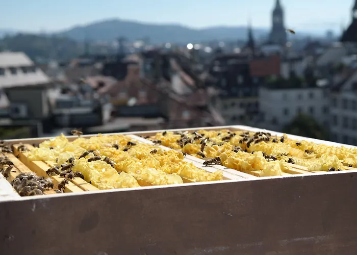 Schweizerhof & 5* Bern