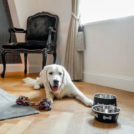 호텔 Schweizerhof &