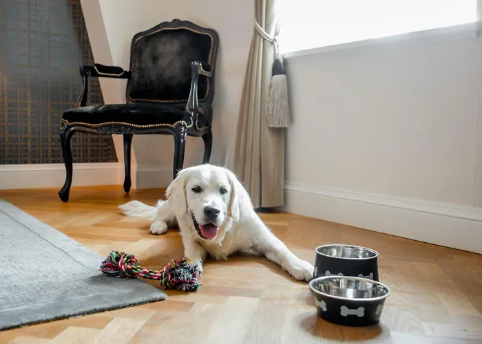 Hotel Schweizerhof Bern&spa